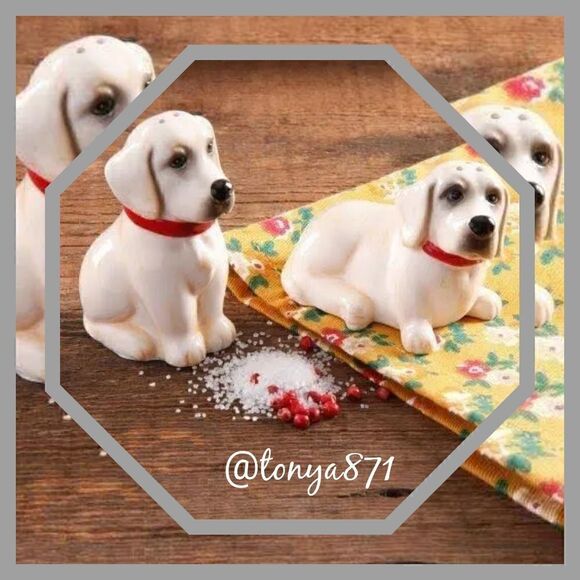 🦋 New Pioneer Woman Lucy and Duke Salt & Pepper Shakers - Picture 4 of 7